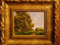 Pequeño estudio de arbol